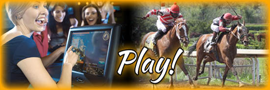 Enjoy great Gaming at Fort Erie Racetrack or local BINGO Parlours