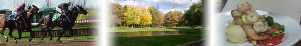 Some of the many things you can do while Visiting Fort Erie